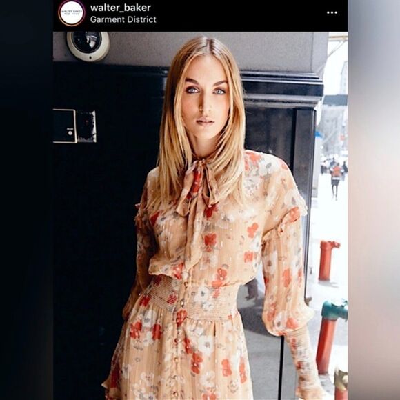 Walter baker | Artur chiffon midi dress in Poppy Paradise - Picture 13 of 15